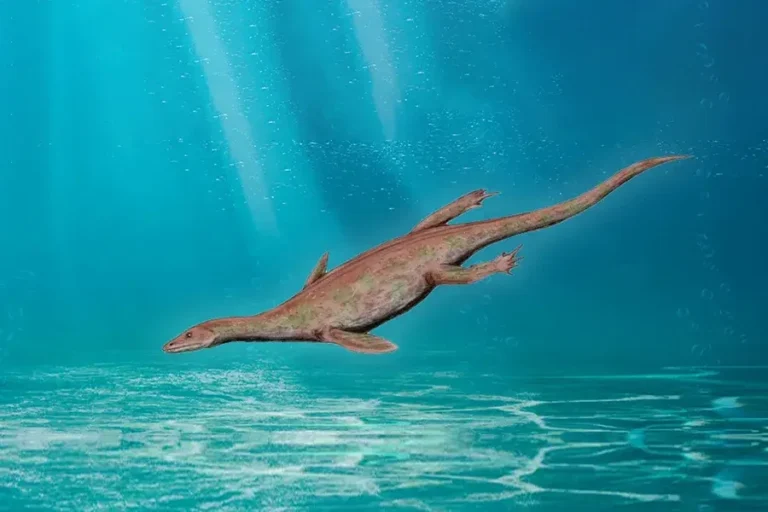 lariosaurus-main-1